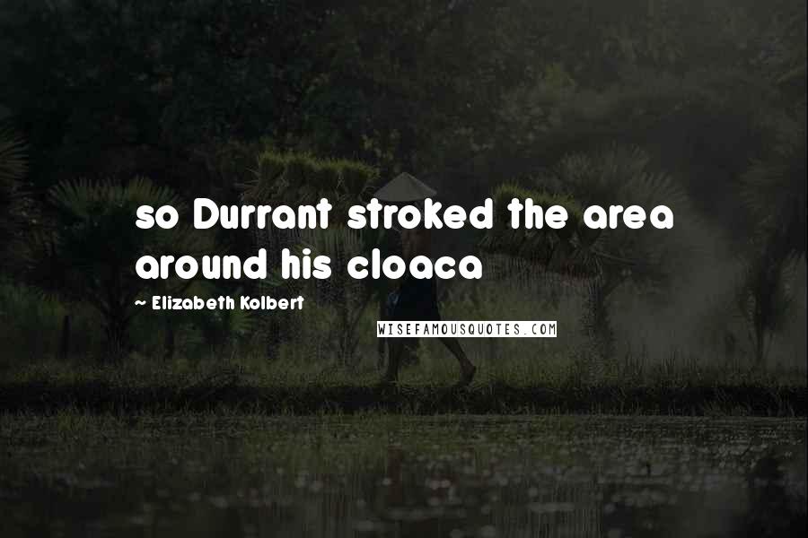 Elizabeth Kolbert Quotes: so Durrant stroked the area around his cloaca