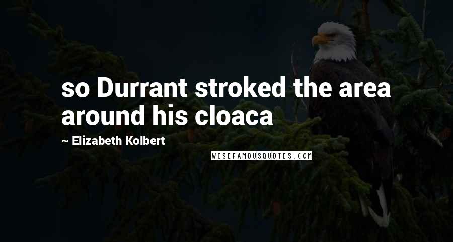 Elizabeth Kolbert Quotes: so Durrant stroked the area around his cloaca