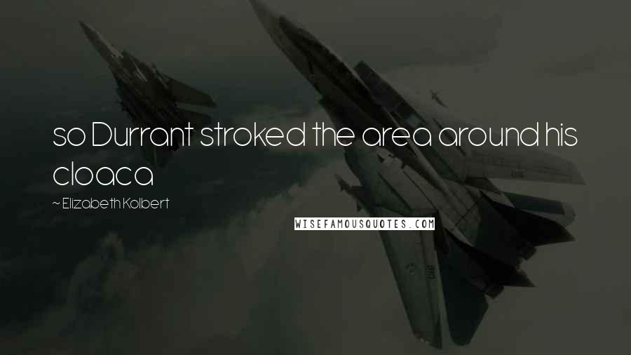 Elizabeth Kolbert Quotes: so Durrant stroked the area around his cloaca