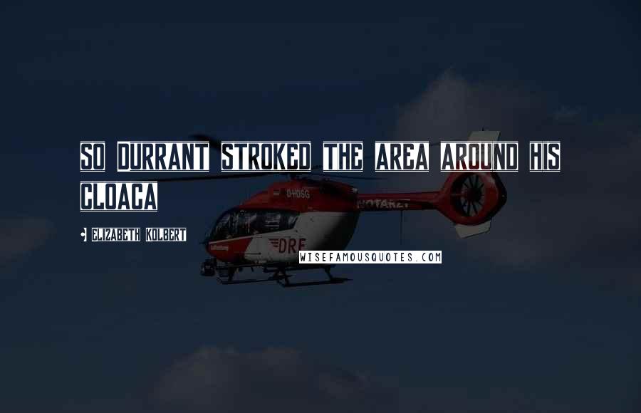 Elizabeth Kolbert Quotes: so Durrant stroked the area around his cloaca