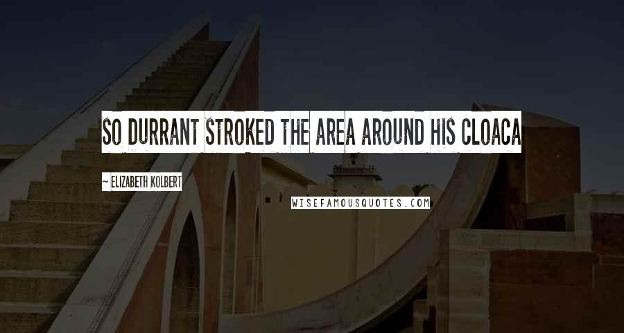 Elizabeth Kolbert Quotes: so Durrant stroked the area around his cloaca