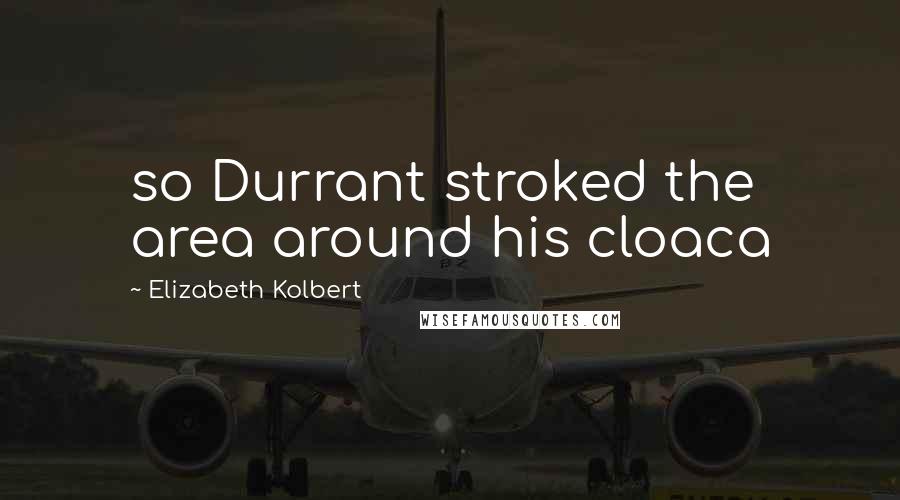 Elizabeth Kolbert Quotes: so Durrant stroked the area around his cloaca