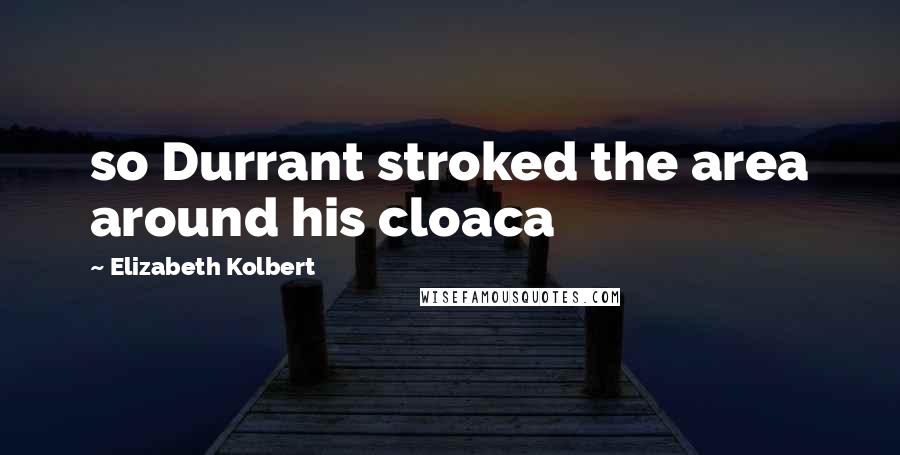 Elizabeth Kolbert Quotes: so Durrant stroked the area around his cloaca