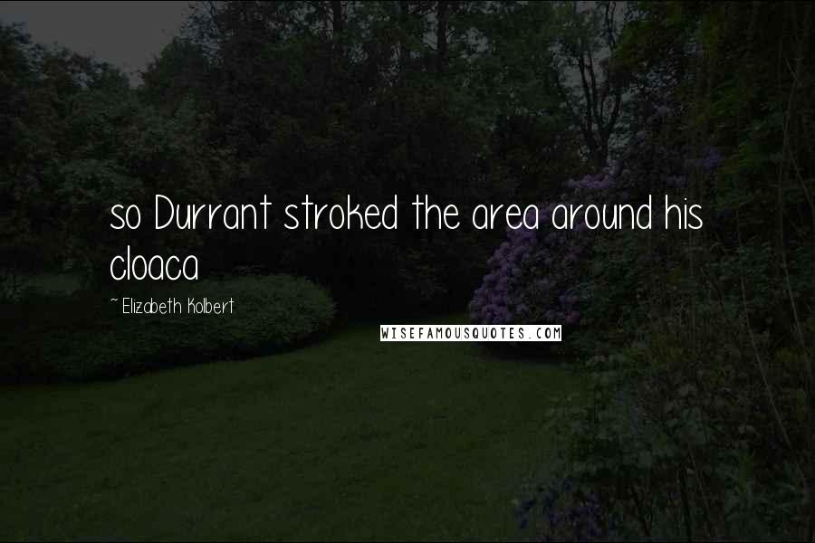 Elizabeth Kolbert Quotes: so Durrant stroked the area around his cloaca