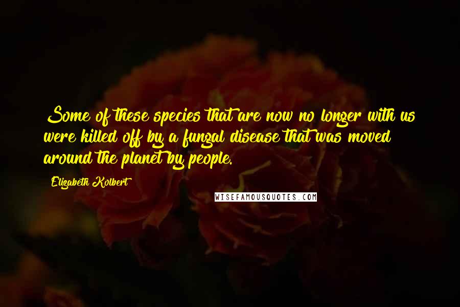 Elizabeth Kolbert Quotes: Some of these species that are now no longer with us were killed off by a fungal disease that was moved around the planet by people.