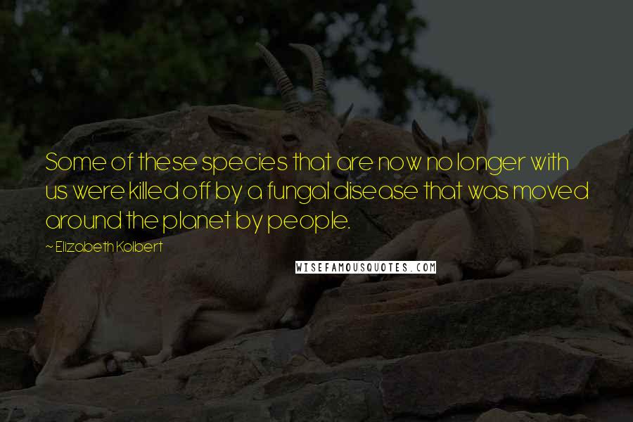 Elizabeth Kolbert Quotes: Some of these species that are now no longer with us were killed off by a fungal disease that was moved around the planet by people.