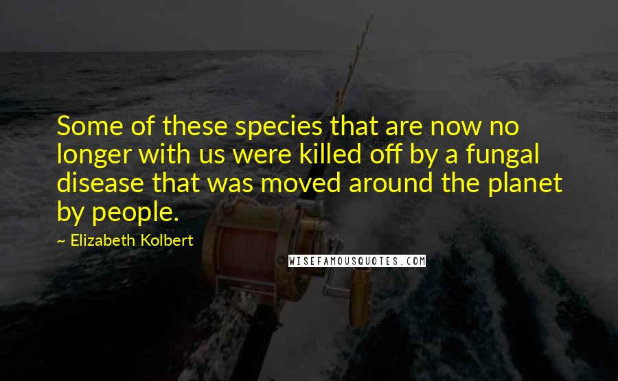 Elizabeth Kolbert Quotes: Some of these species that are now no longer with us were killed off by a fungal disease that was moved around the planet by people.