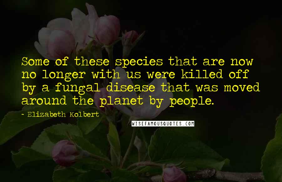 Elizabeth Kolbert Quotes: Some of these species that are now no longer with us were killed off by a fungal disease that was moved around the planet by people.