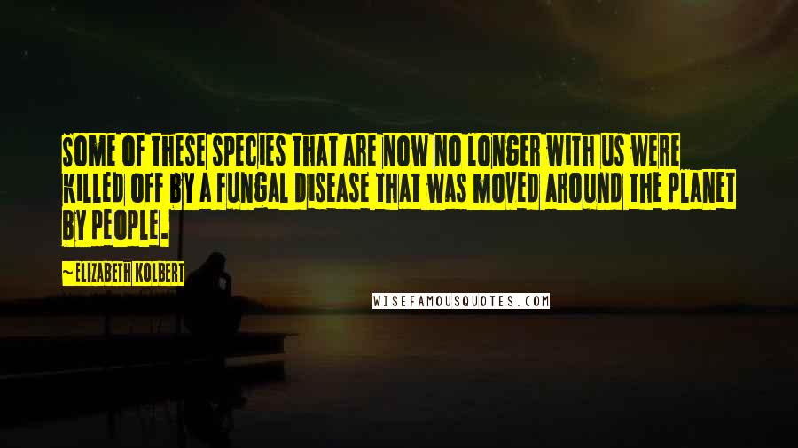 Elizabeth Kolbert Quotes: Some of these species that are now no longer with us were killed off by a fungal disease that was moved around the planet by people.
