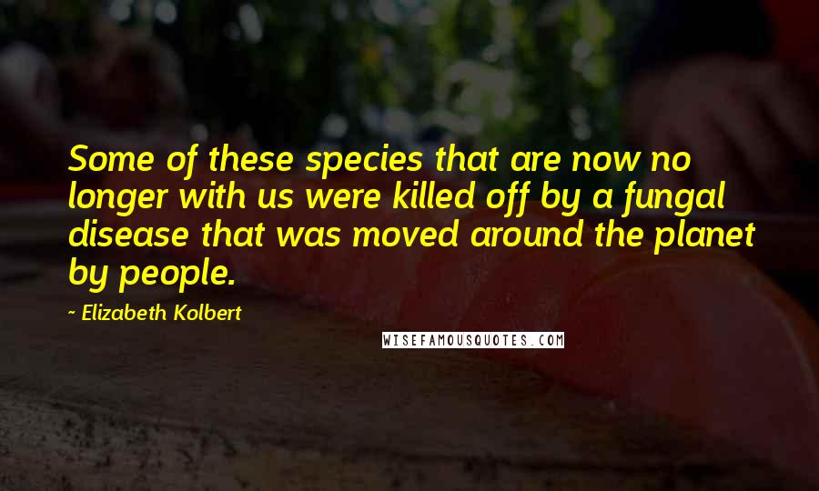 Elizabeth Kolbert Quotes: Some of these species that are now no longer with us were killed off by a fungal disease that was moved around the planet by people.