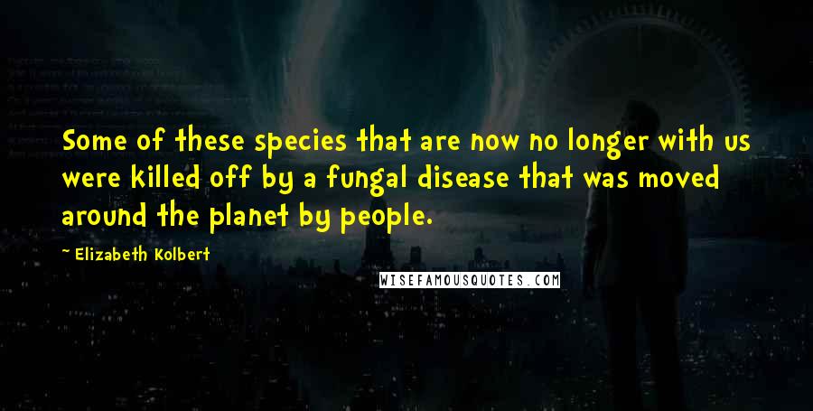 Elizabeth Kolbert Quotes: Some of these species that are now no longer with us were killed off by a fungal disease that was moved around the planet by people.