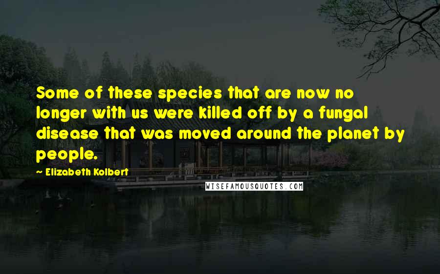 Elizabeth Kolbert Quotes: Some of these species that are now no longer with us were killed off by a fungal disease that was moved around the planet by people.