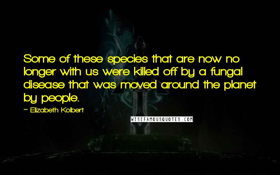 Elizabeth Kolbert Quotes: Some of these species that are now no longer with us were killed off by a fungal disease that was moved around the planet by people.