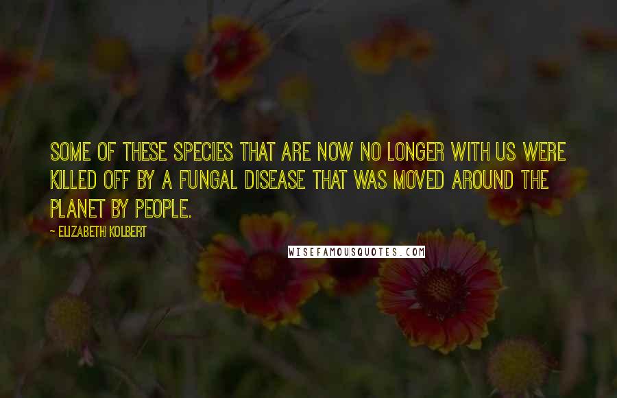 Elizabeth Kolbert Quotes: Some of these species that are now no longer with us were killed off by a fungal disease that was moved around the planet by people.