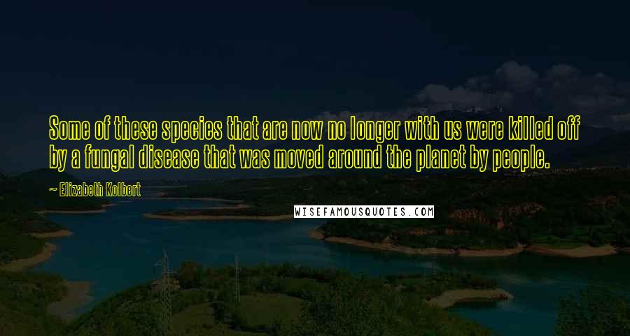 Elizabeth Kolbert Quotes: Some of these species that are now no longer with us were killed off by a fungal disease that was moved around the planet by people.