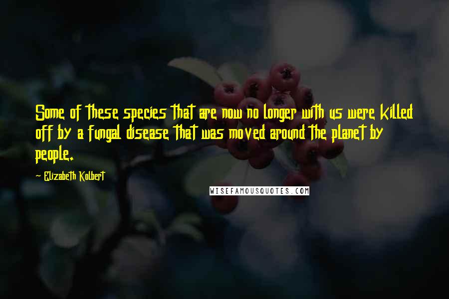 Elizabeth Kolbert Quotes: Some of these species that are now no longer with us were killed off by a fungal disease that was moved around the planet by people.