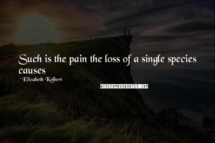 Elizabeth Kolbert Quotes: Such is the pain the loss of a single species causes