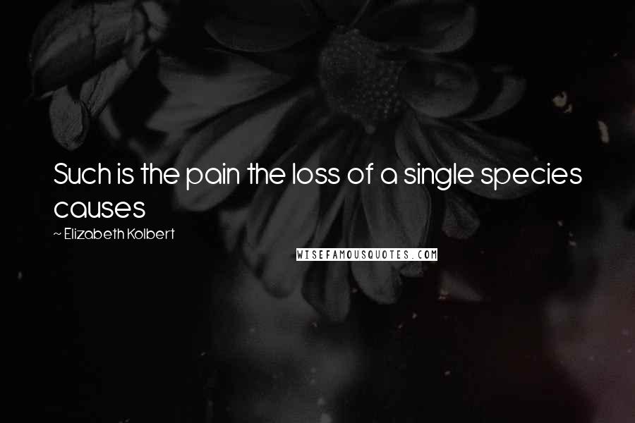 Elizabeth Kolbert Quotes: Such is the pain the loss of a single species causes