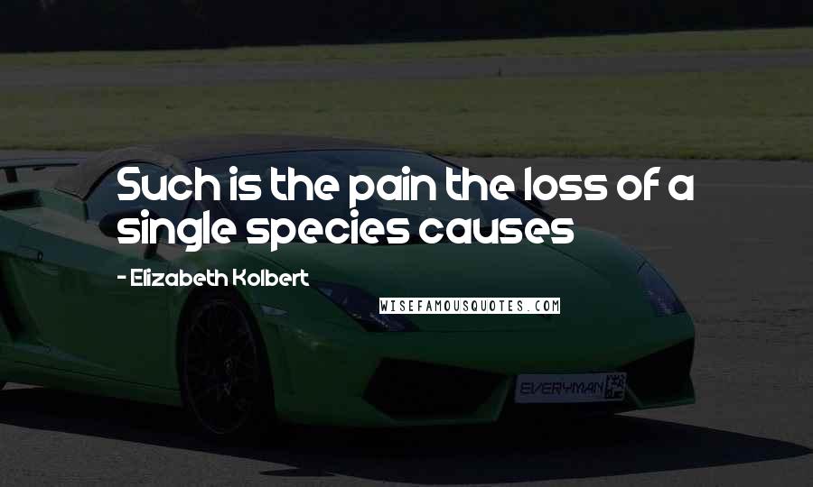 Elizabeth Kolbert Quotes: Such is the pain the loss of a single species causes