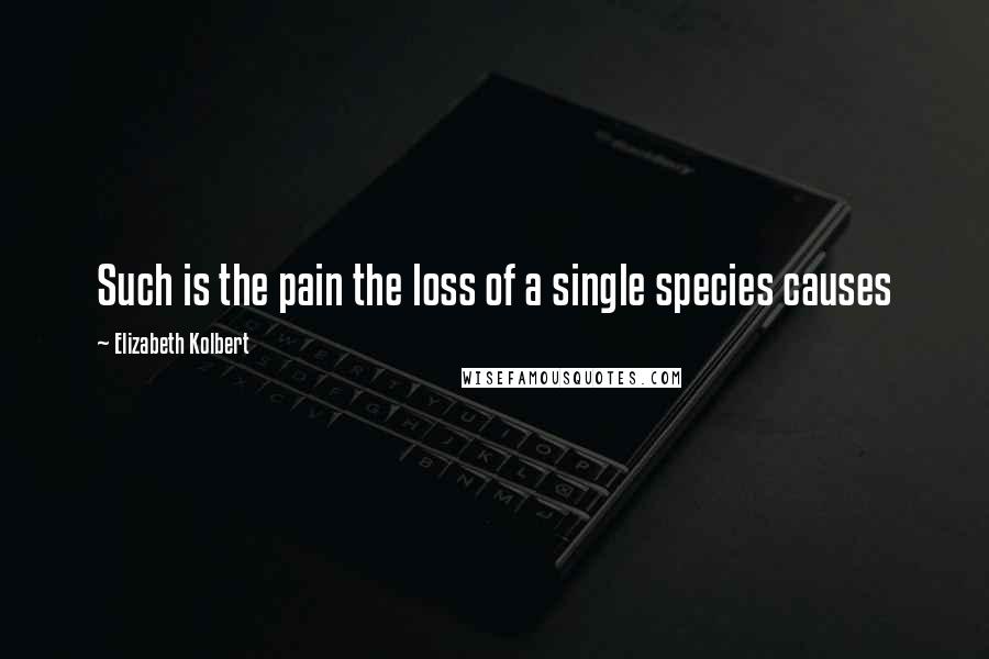 Elizabeth Kolbert Quotes: Such is the pain the loss of a single species causes