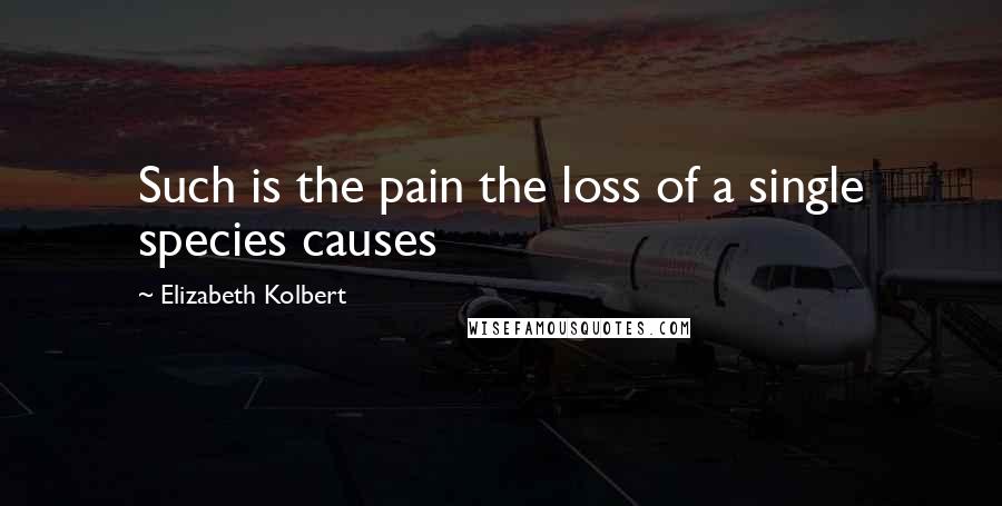 Elizabeth Kolbert Quotes: Such is the pain the loss of a single species causes