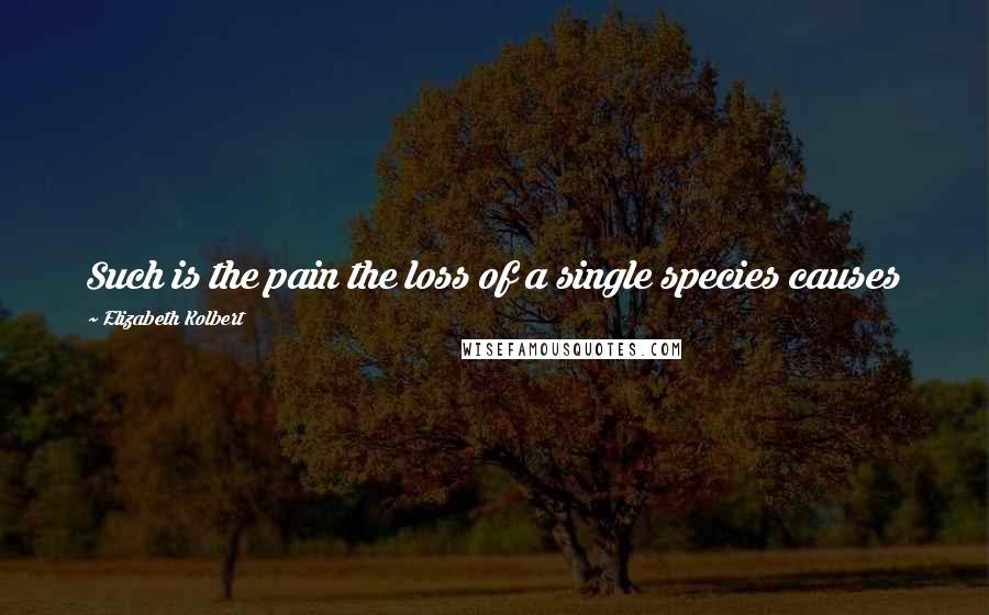 Elizabeth Kolbert Quotes: Such is the pain the loss of a single species causes