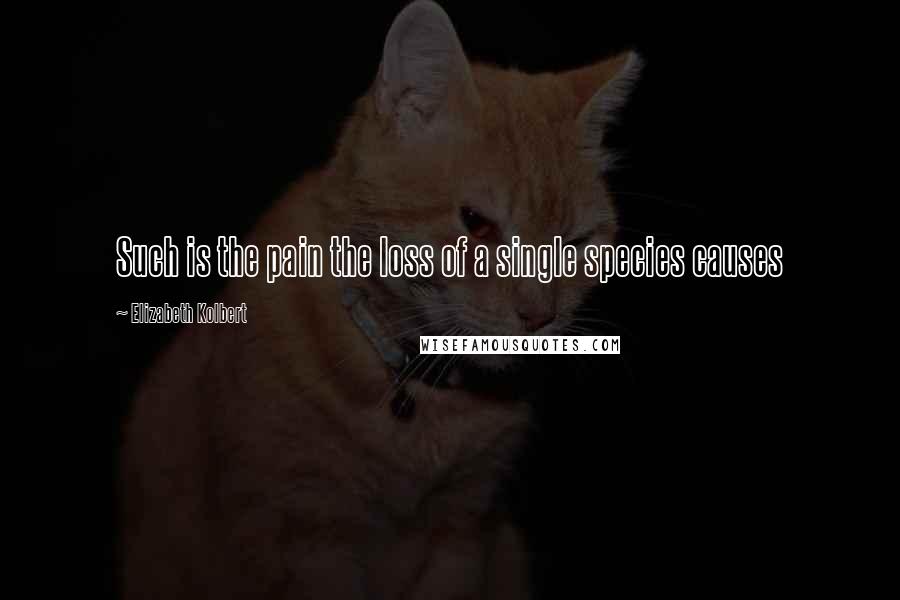 Elizabeth Kolbert Quotes: Such is the pain the loss of a single species causes