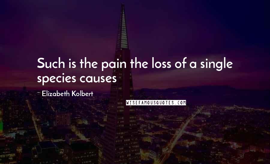 Elizabeth Kolbert Quotes: Such is the pain the loss of a single species causes