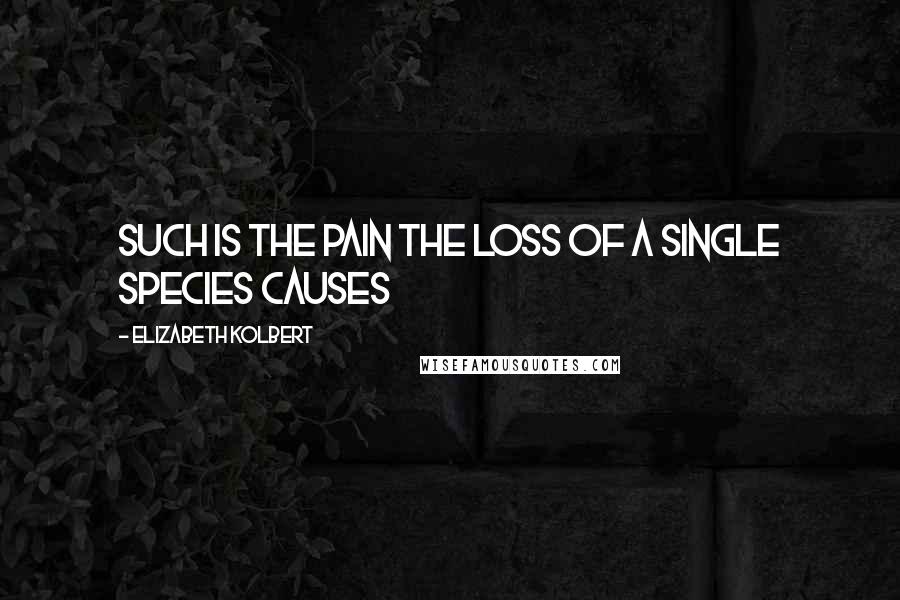 Elizabeth Kolbert Quotes: Such is the pain the loss of a single species causes