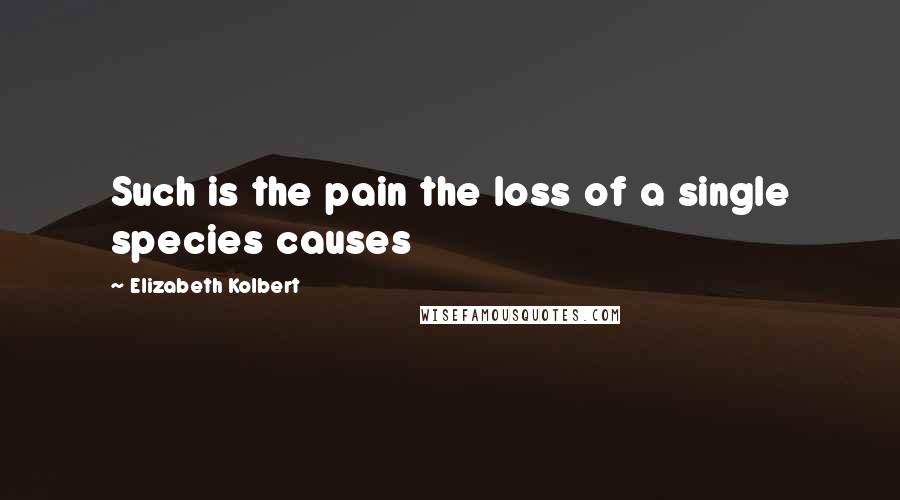 Elizabeth Kolbert Quotes: Such is the pain the loss of a single species causes