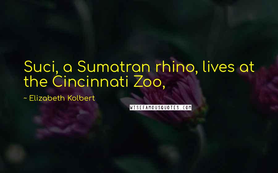 Elizabeth Kolbert Quotes: Suci, a Sumatran rhino, lives at the Cincinnati Zoo,
