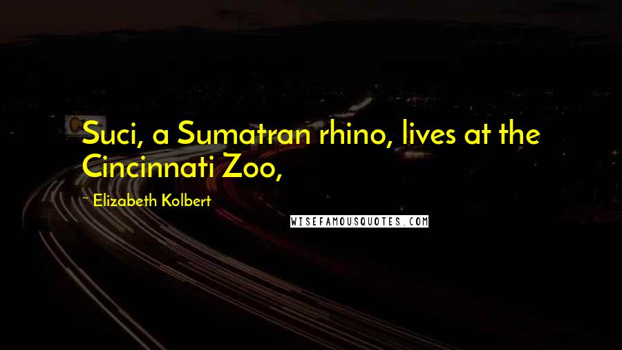 Elizabeth Kolbert Quotes: Suci, a Sumatran rhino, lives at the Cincinnati Zoo,
