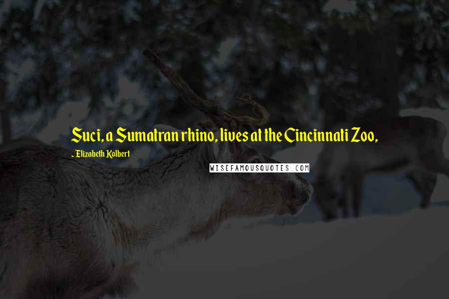 Elizabeth Kolbert Quotes: Suci, a Sumatran rhino, lives at the Cincinnati Zoo,