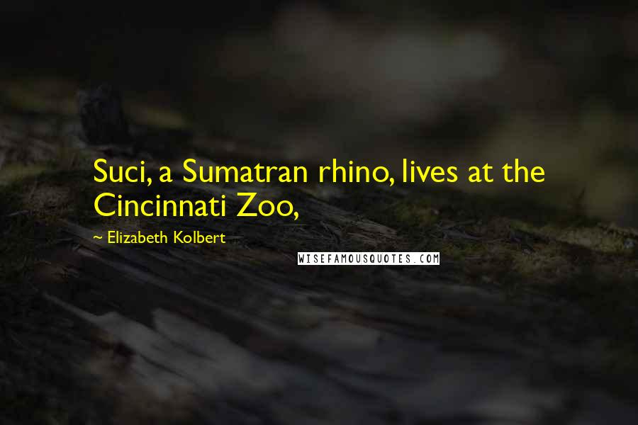 Elizabeth Kolbert Quotes: Suci, a Sumatran rhino, lives at the Cincinnati Zoo,