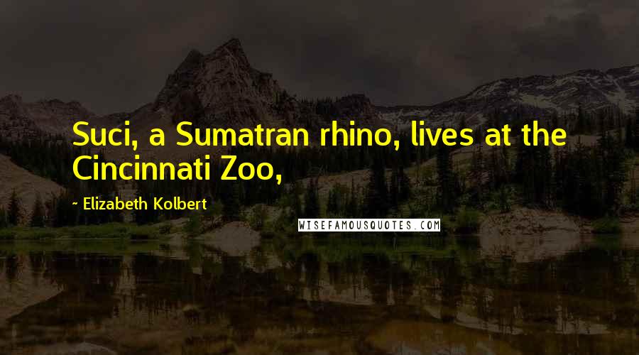 Elizabeth Kolbert Quotes: Suci, a Sumatran rhino, lives at the Cincinnati Zoo,