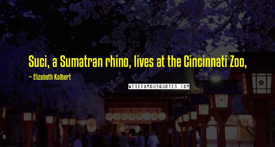Elizabeth Kolbert Quotes: Suci, a Sumatran rhino, lives at the Cincinnati Zoo,