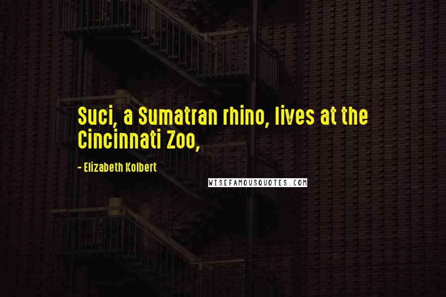 Elizabeth Kolbert Quotes: Suci, a Sumatran rhino, lives at the Cincinnati Zoo,