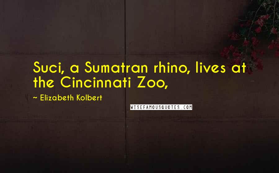 Elizabeth Kolbert Quotes: Suci, a Sumatran rhino, lives at the Cincinnati Zoo,