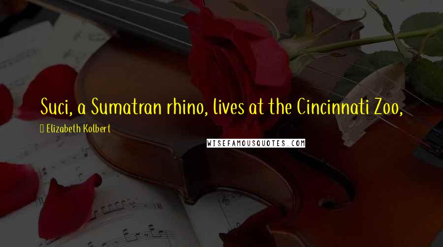 Elizabeth Kolbert Quotes: Suci, a Sumatran rhino, lives at the Cincinnati Zoo,