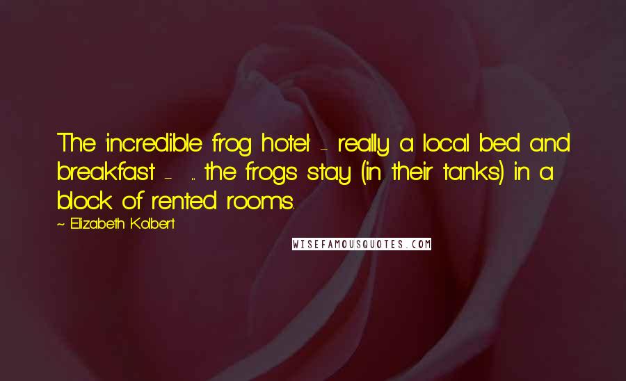 Elizabeth Kolbert Quotes: The 'incredible frog hotel' - really a local bed and breakfast -  ... the frogs stay (in their tanks) in a block of rented rooms.