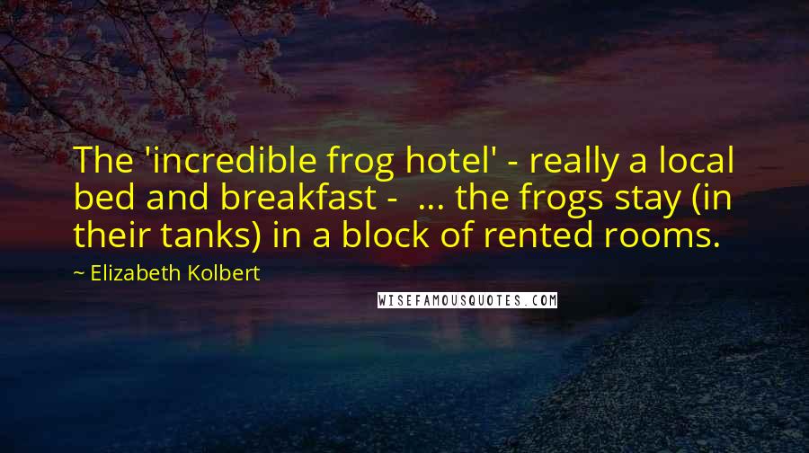 Elizabeth Kolbert Quotes: The 'incredible frog hotel' - really a local bed and breakfast -  ... the frogs stay (in their tanks) in a block of rented rooms.