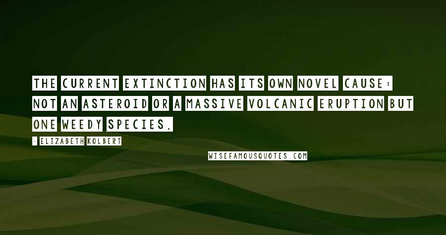 Elizabeth Kolbert Quotes: The current extinction has its own novel cause: not an asteroid or a massive volcanic eruption but one weedy species.