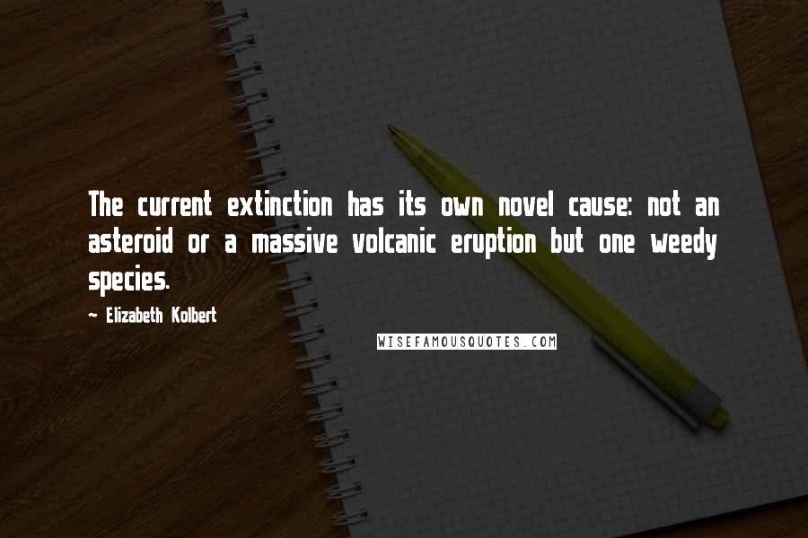 Elizabeth Kolbert Quotes: The current extinction has its own novel cause: not an asteroid or a massive volcanic eruption but one weedy species.