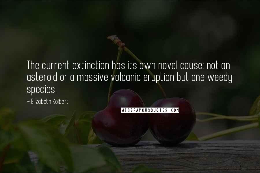 Elizabeth Kolbert Quotes: The current extinction has its own novel cause: not an asteroid or a massive volcanic eruption but one weedy species.