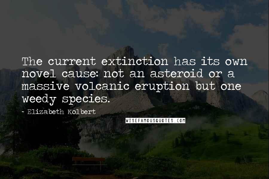 Elizabeth Kolbert Quotes: The current extinction has its own novel cause: not an asteroid or a massive volcanic eruption but one weedy species.