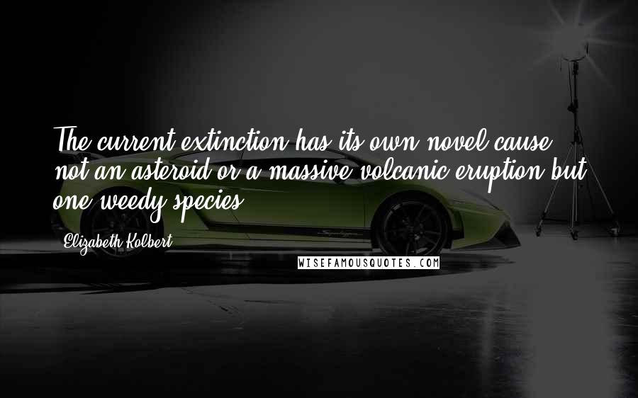 Elizabeth Kolbert Quotes: The current extinction has its own novel cause: not an asteroid or a massive volcanic eruption but one weedy species.