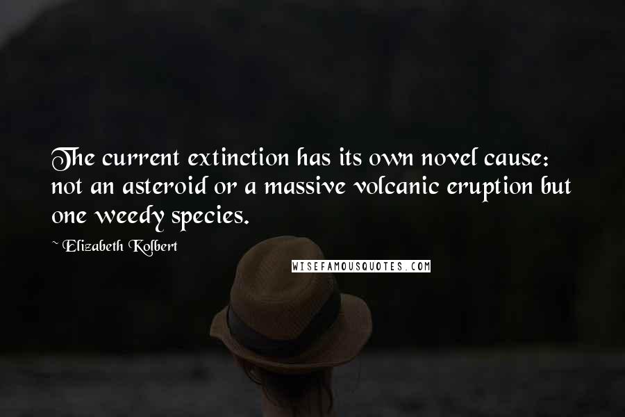 Elizabeth Kolbert Quotes: The current extinction has its own novel cause: not an asteroid or a massive volcanic eruption but one weedy species.