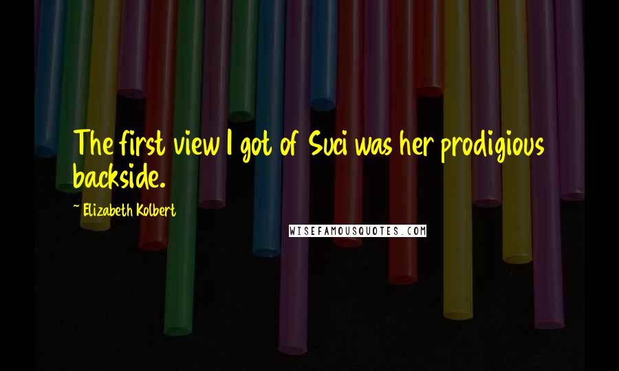 Elizabeth Kolbert Quotes: The first view I got of Suci was her prodigious backside.