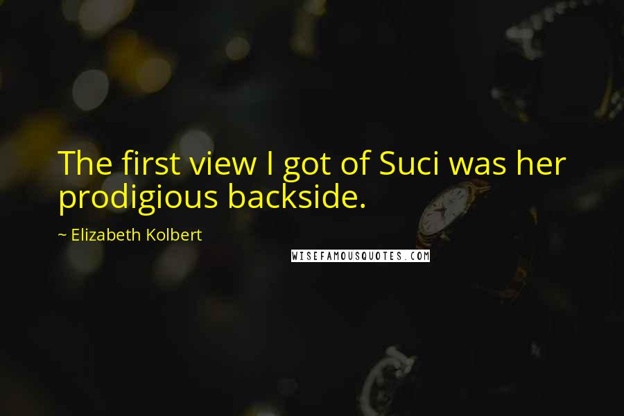 Elizabeth Kolbert Quotes: The first view I got of Suci was her prodigious backside.
