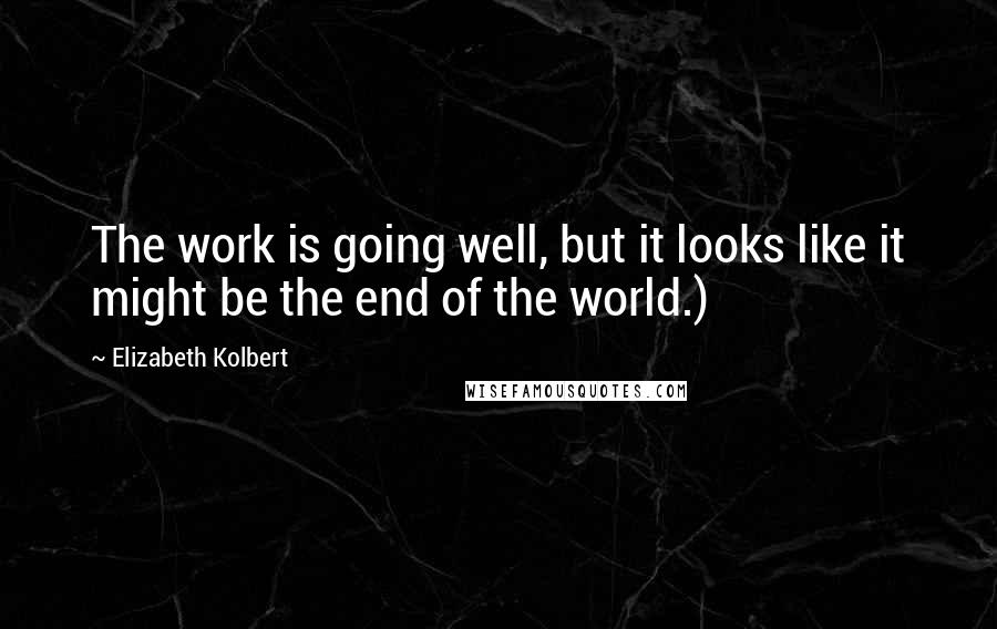Elizabeth Kolbert Quotes: The work is going well, but it looks like it might be the end of the world.)